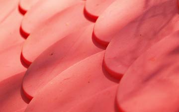 Buckton Vale plastic roof costs